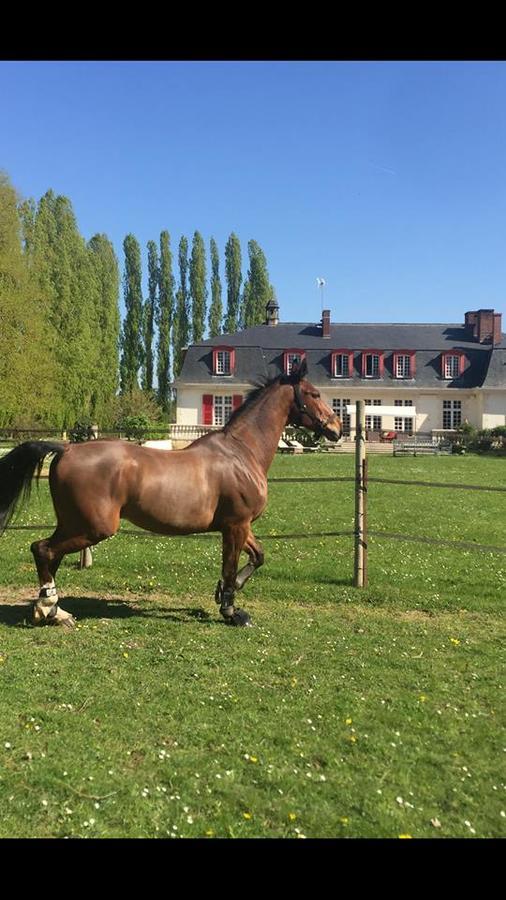 Отель Le Domaine De Barbizon Saint-Martin-en-Biere Экстерьер фото
